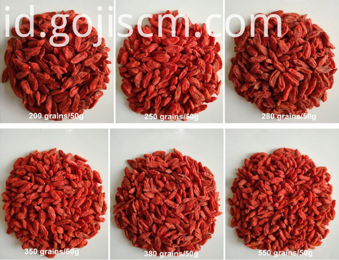 Ukuran Natural Goji Berry yang baru New Natural Goji Berry sizes